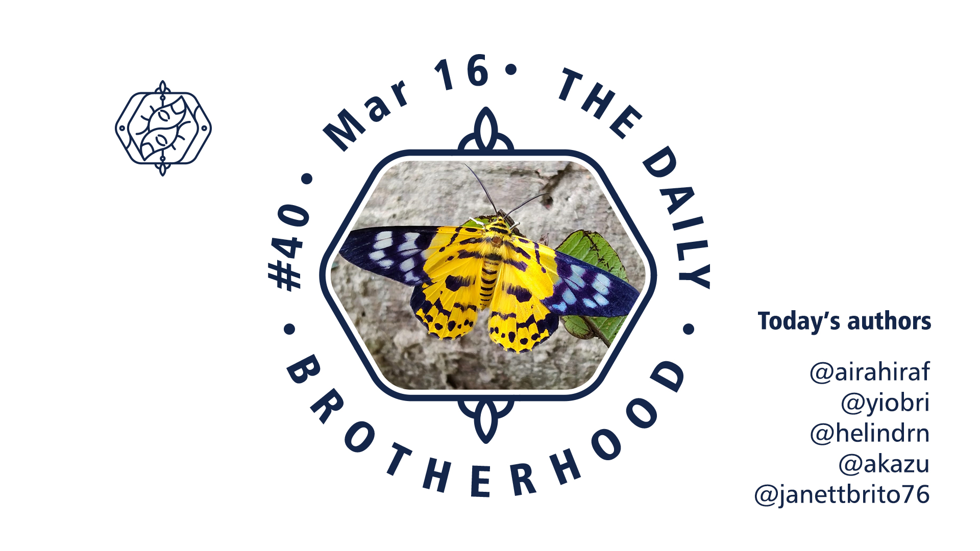 logo_brotherhood_08_40.jpg