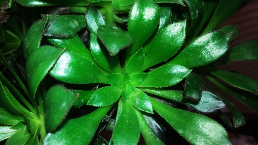 CYMERA_20201120_124603.jpg