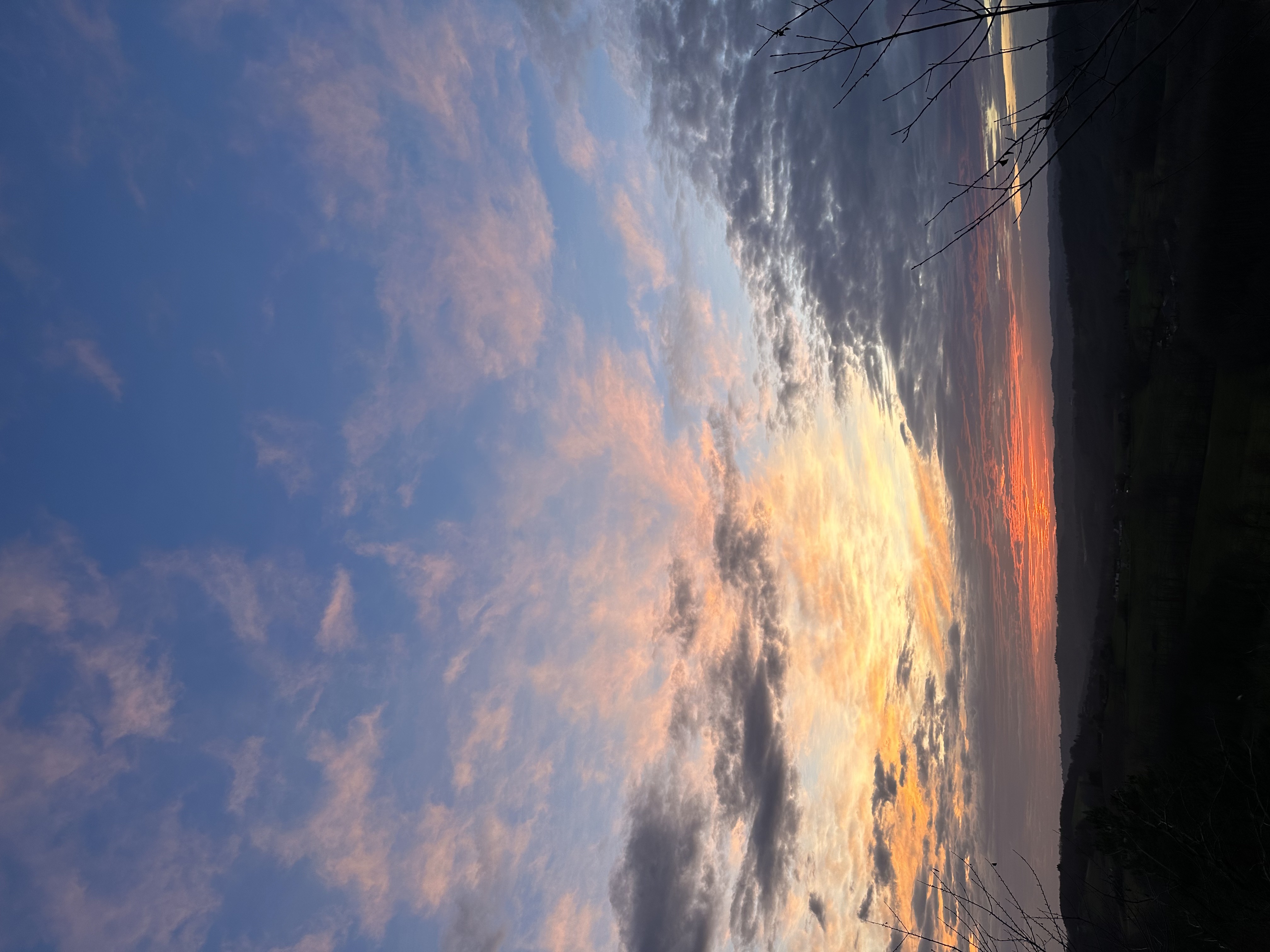IMG_9076.jpeg