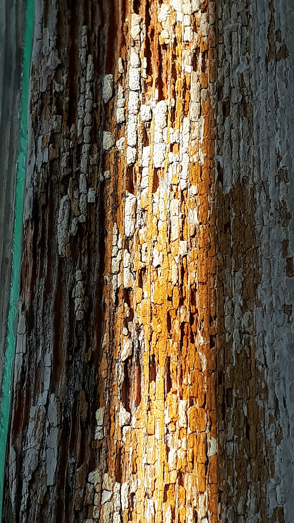 20250428_071544.jpg