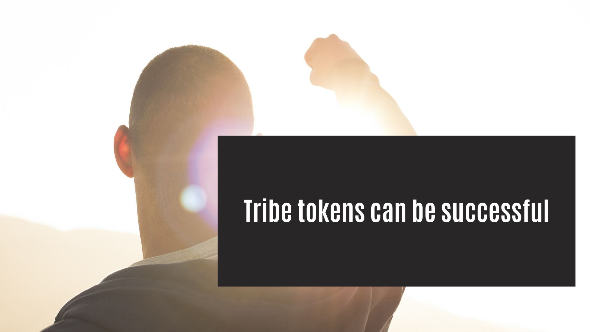 @achim03/tribe-tokens-can-be-successful