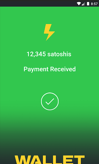 Wallet of Satoshi Successful transaction.png