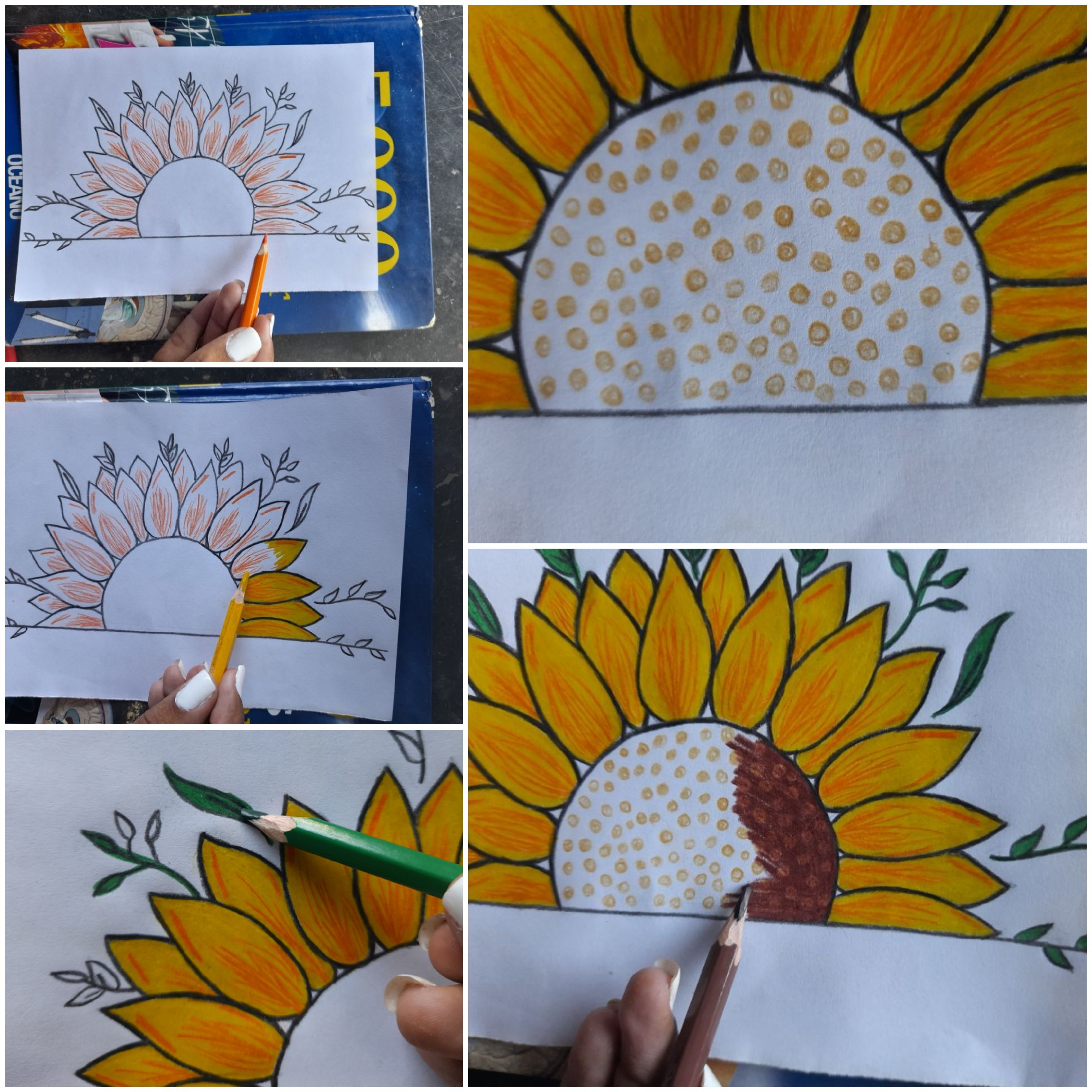 ✍??? Pencil drawing of a sunflower ? || ✍??? Dibujo a lápiz de un  girasol ? | PeakD