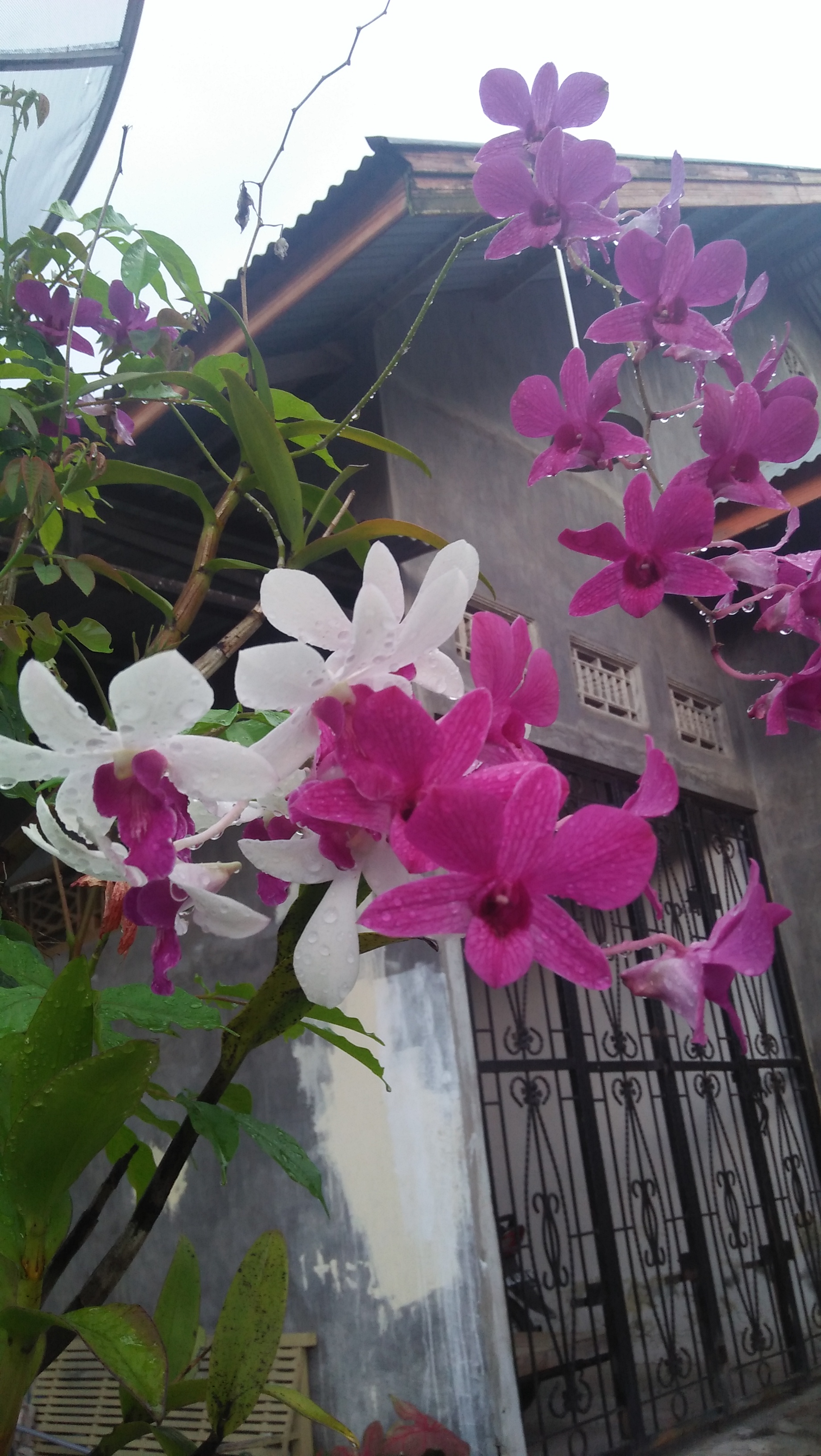 IMG20210424171653.jpg