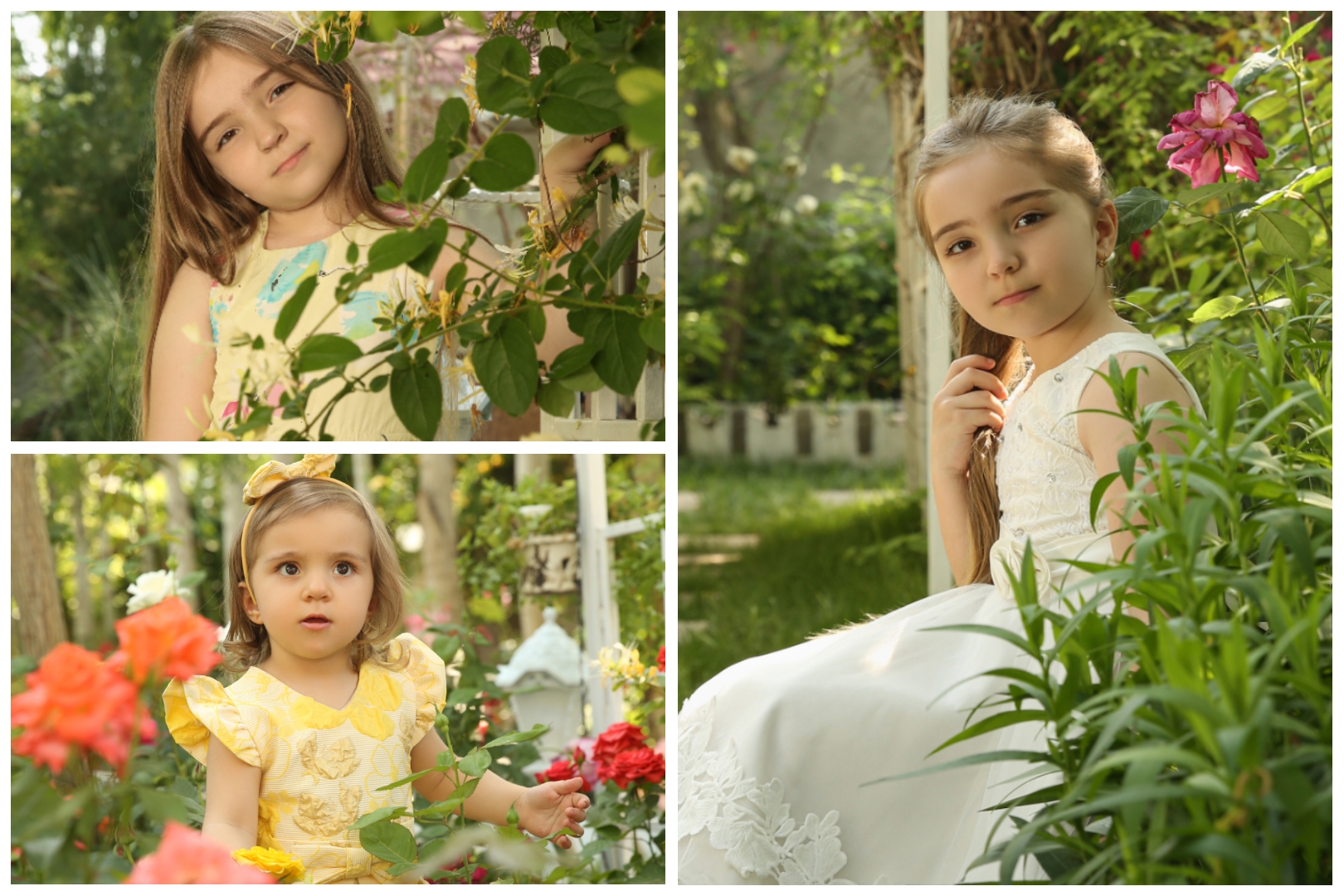 PhotoCollage_1753332507158.jpg