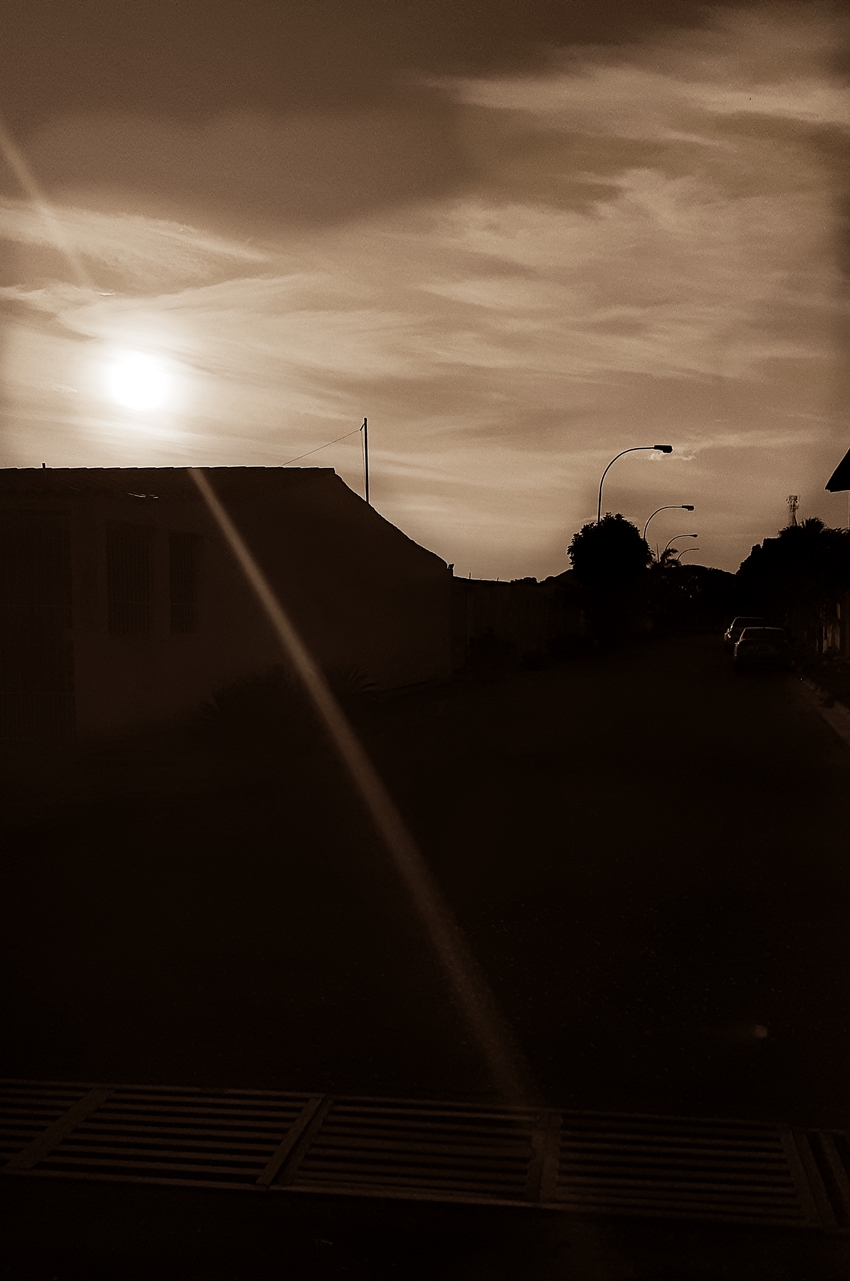 20220417_064753.jpg