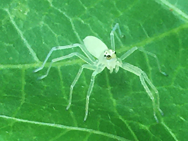 IMG_5653a.png