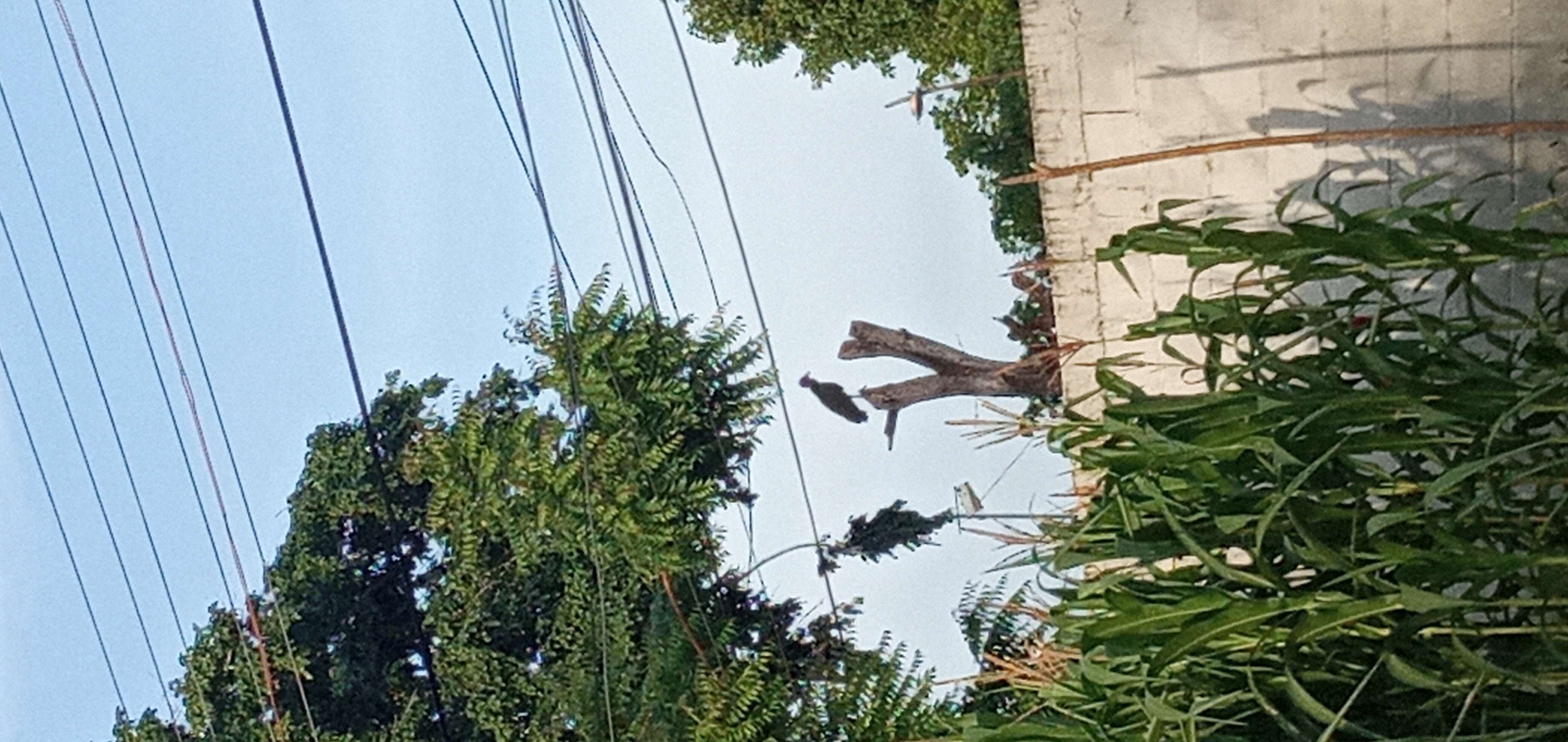 20230903_173231.jpg