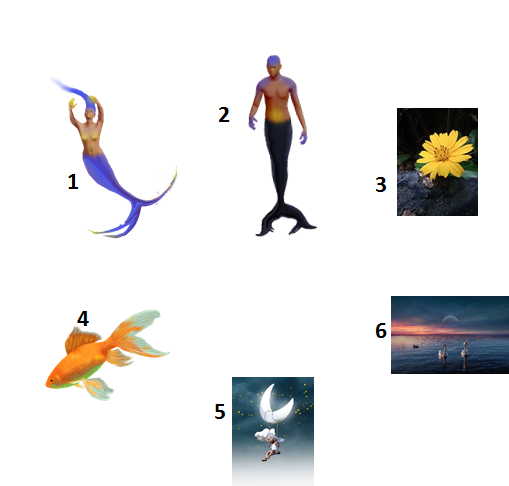 imagen.png