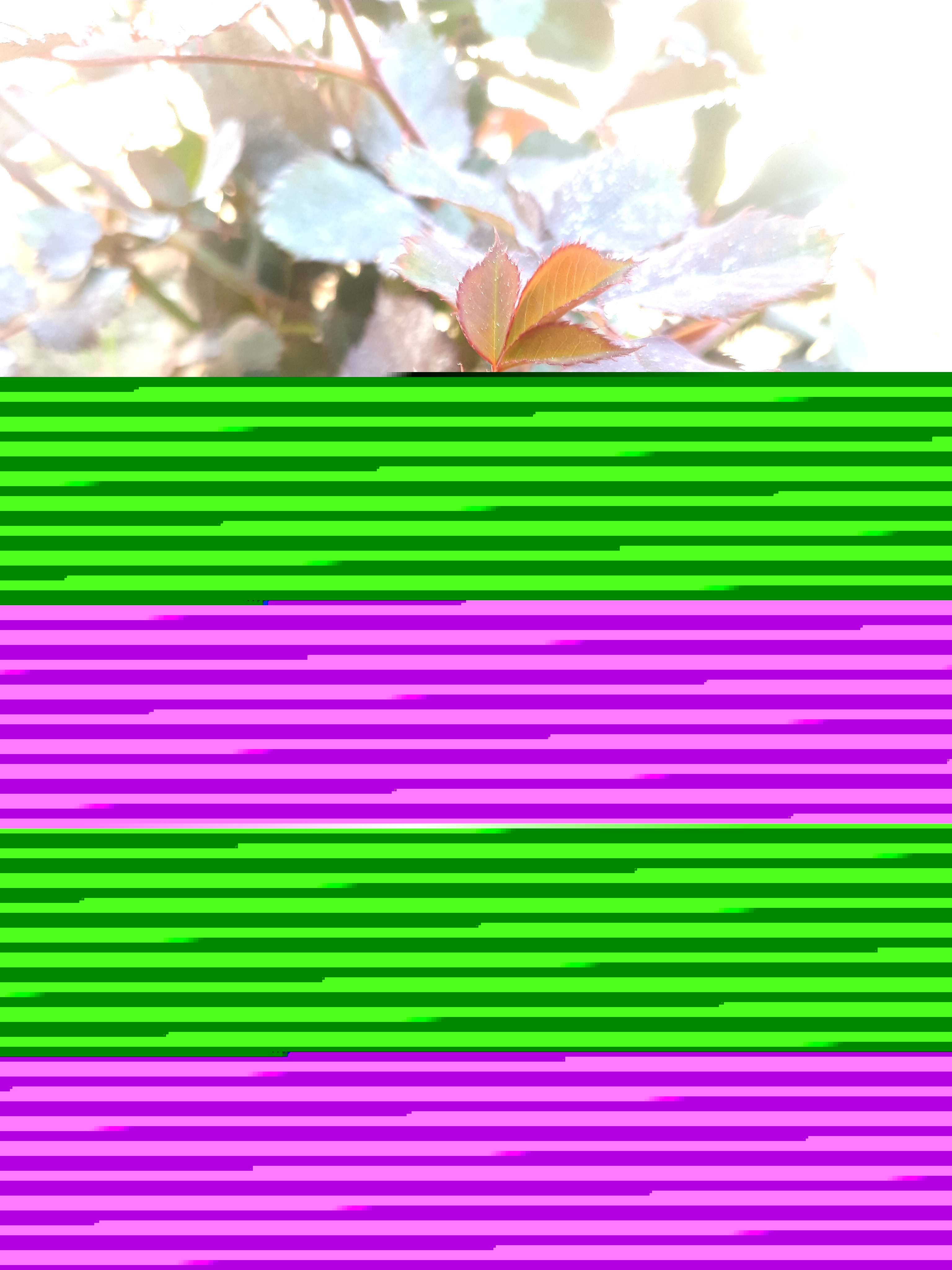 20250307_130450.jpg