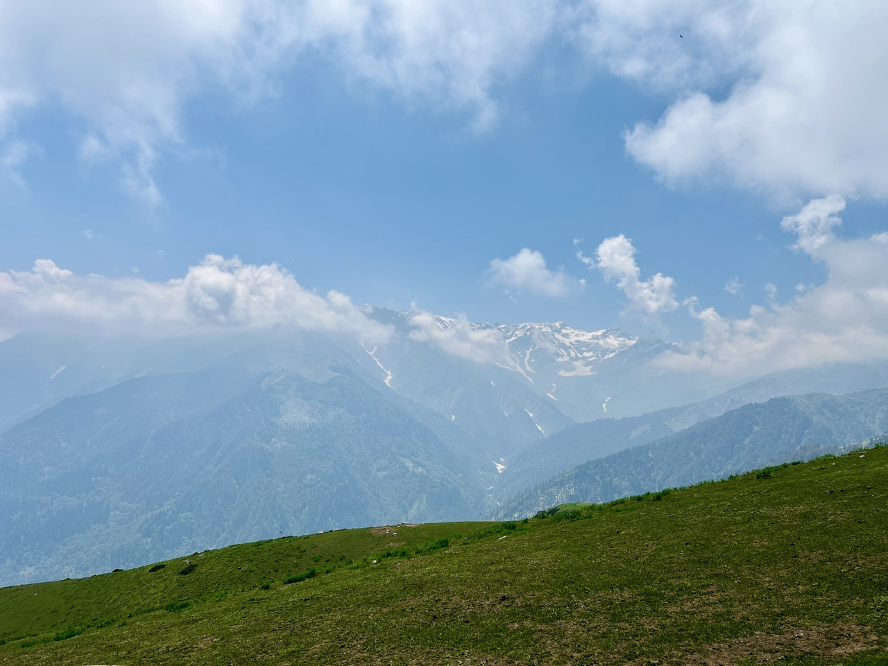 IMG_2383.jpeg