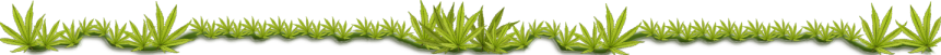 cannabis div 2.png