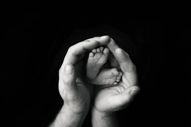 istockphoto-2183334809-612x612.jpg