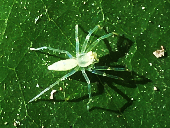 IMG_8874s.png