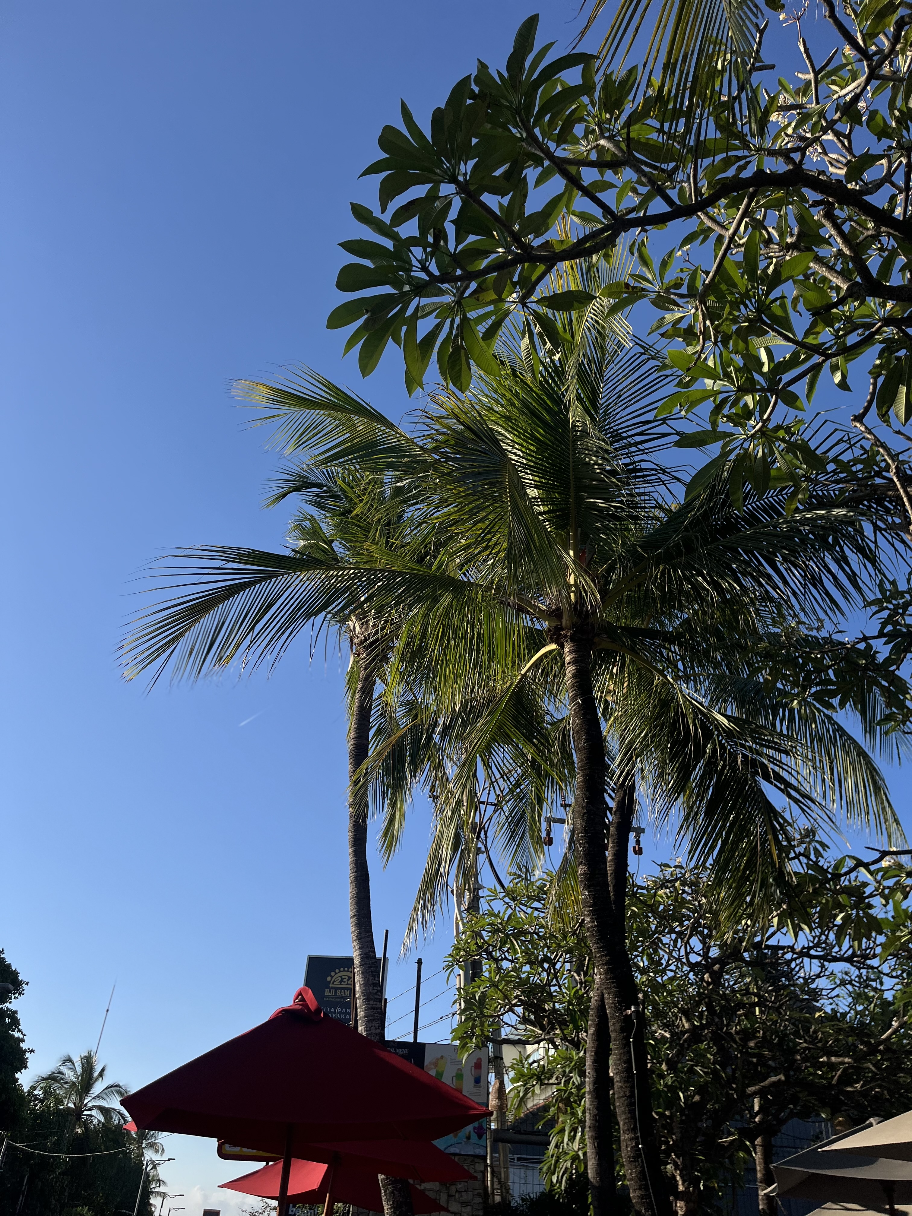 IMG_6154.jpeg