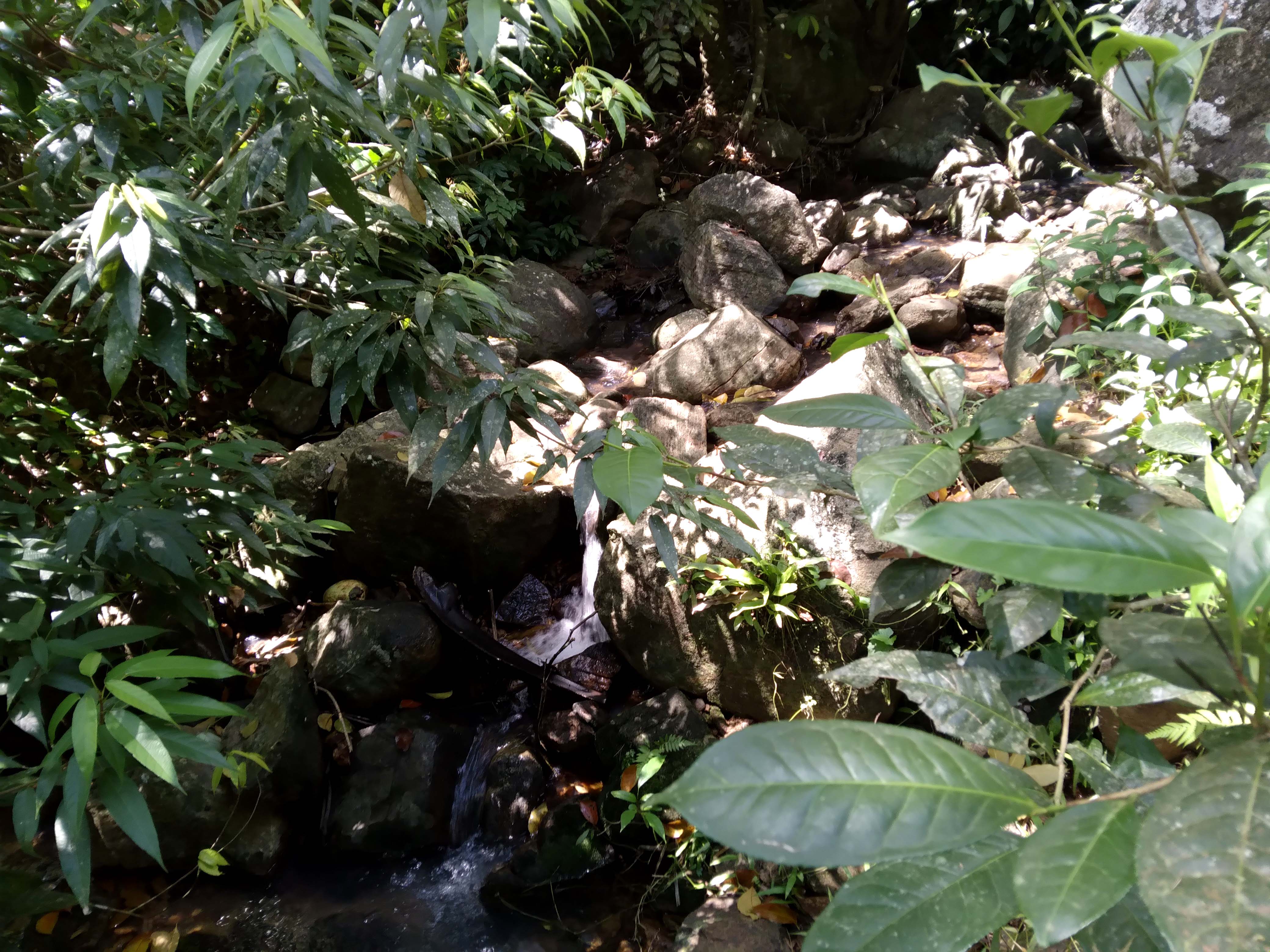 20211003_124750.jpg