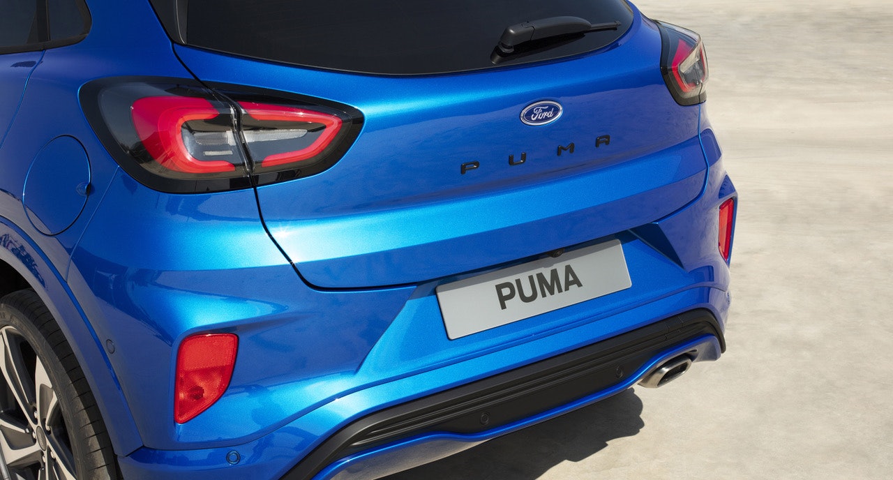 Puma-2.jpeg