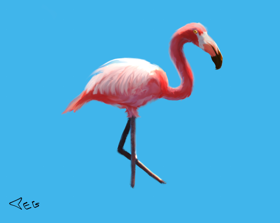 Flamingo1.PNG
