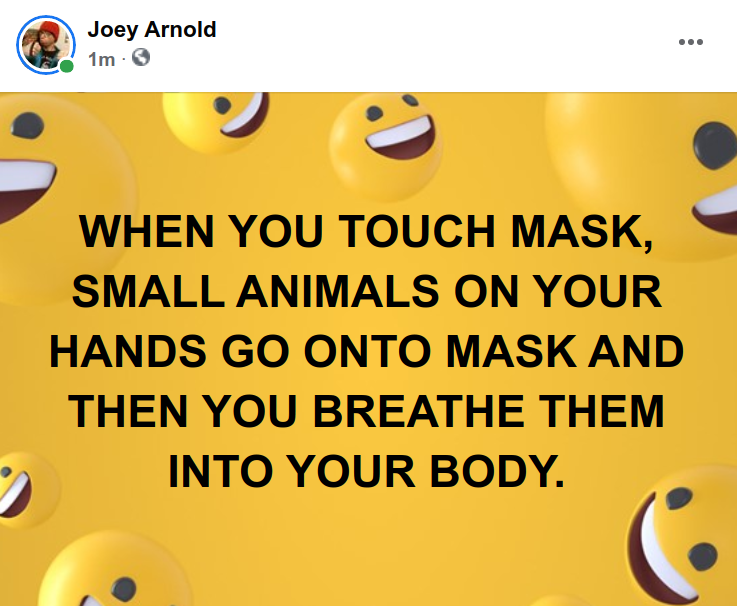 Screenshot at 2021-12-16 23:30:44 WHEN YOU TOUCH MASK, SMALL ANIMALS ON YOUR HANDS GO ONTO MASK AND THEN YOU BREATHE THEM INTO YOUR BODY.png
