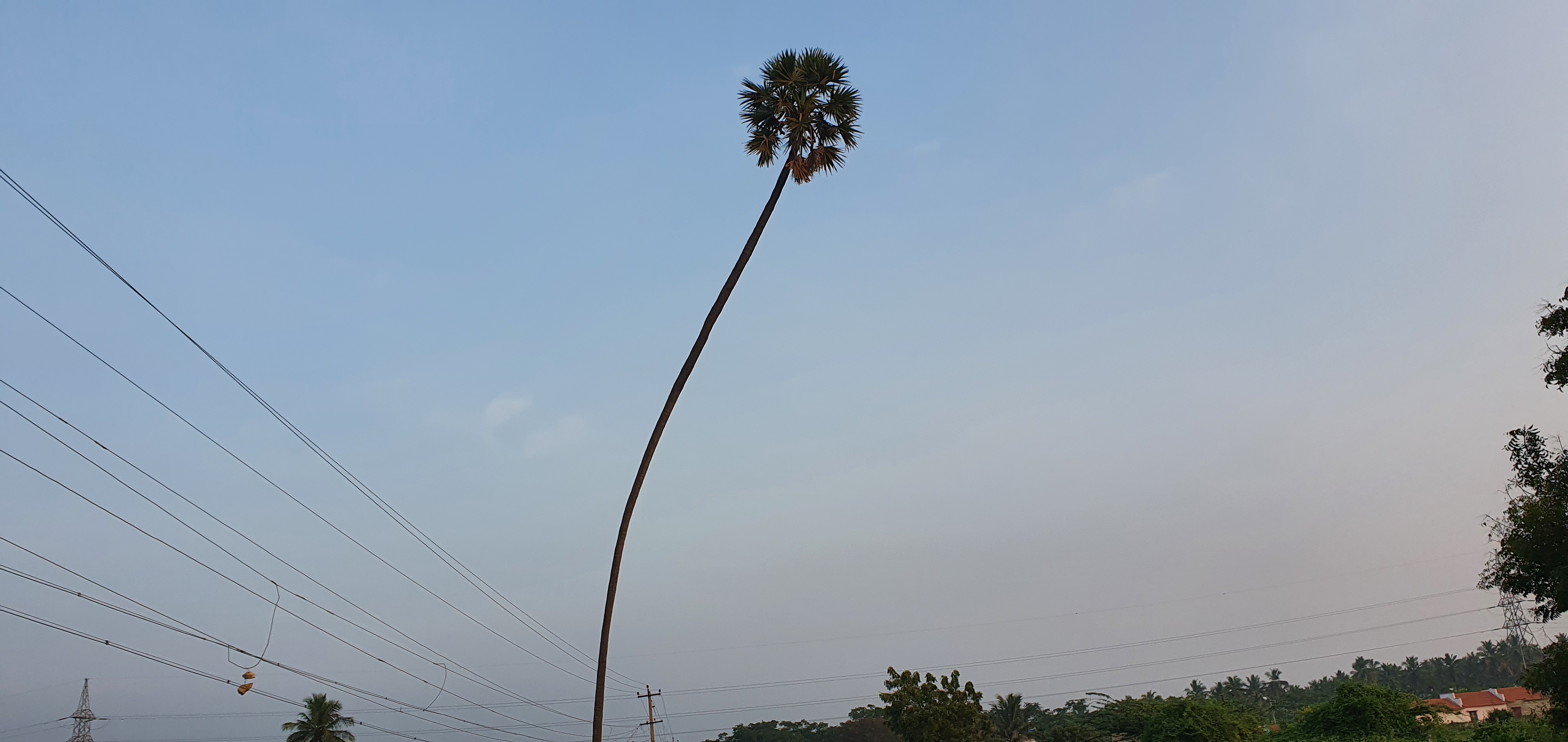 20201224_173205.jpg