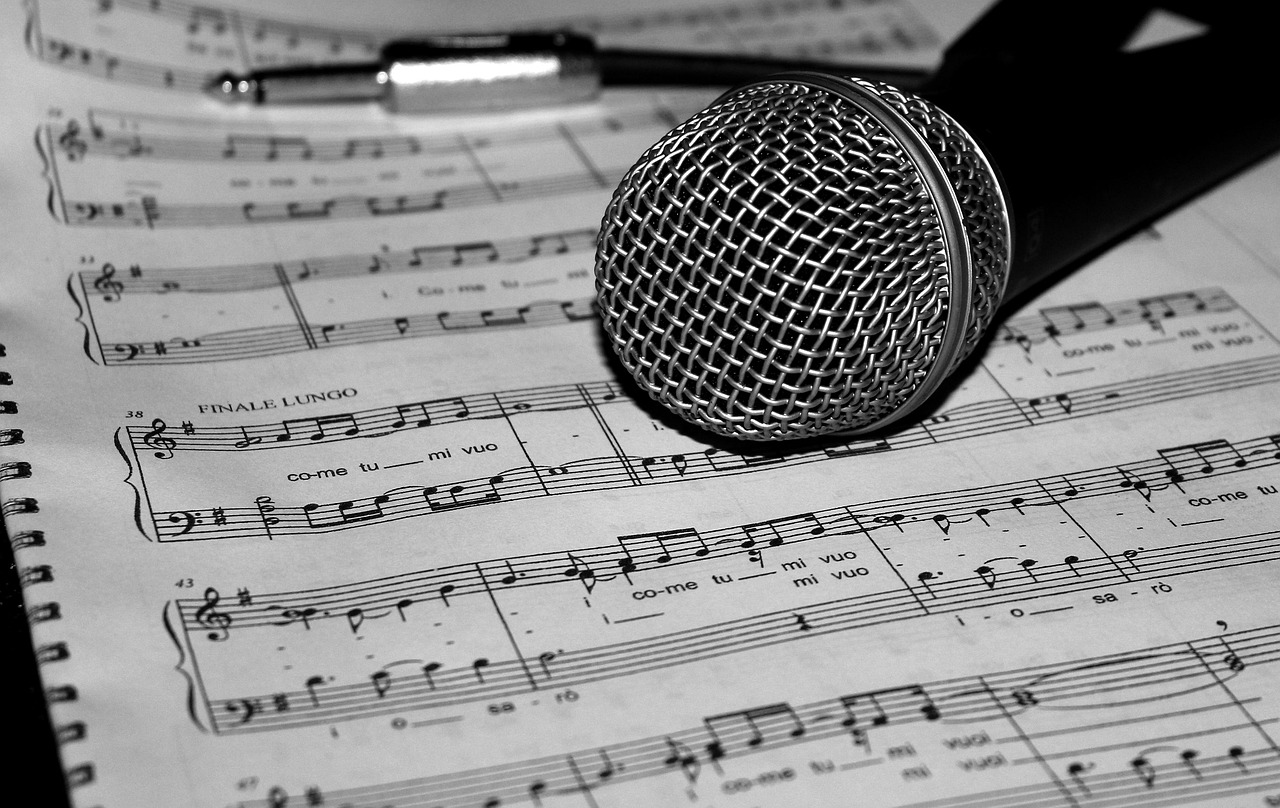 microphone-805256_1280.jpg