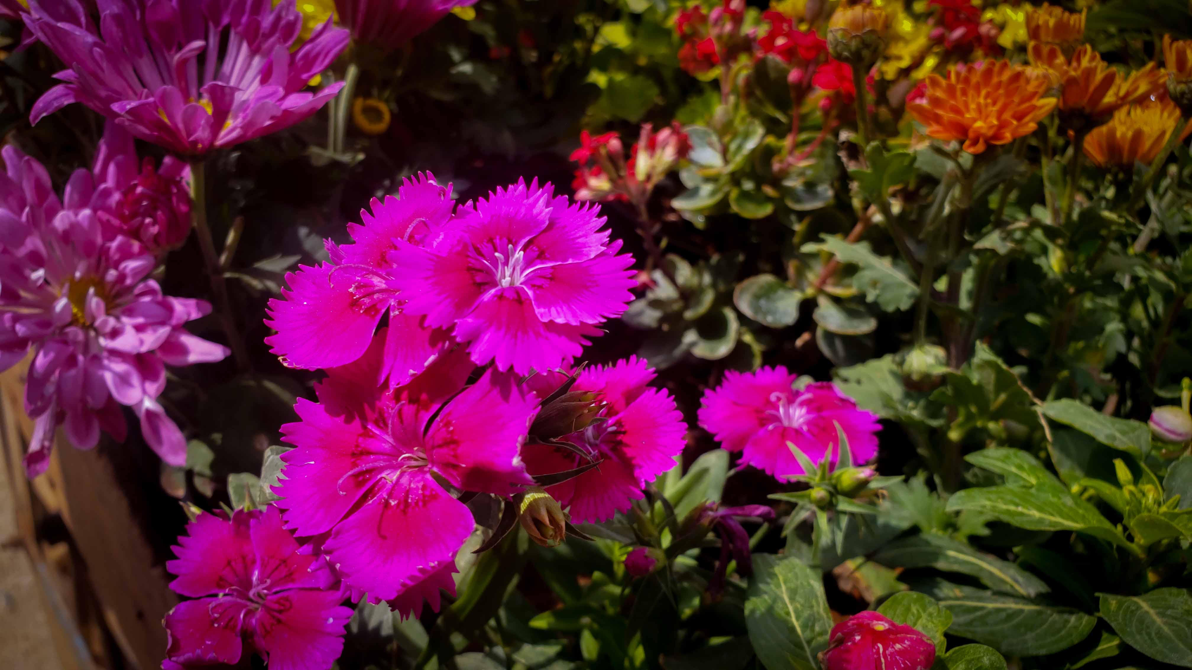 PSX_20220126_190753.jpg