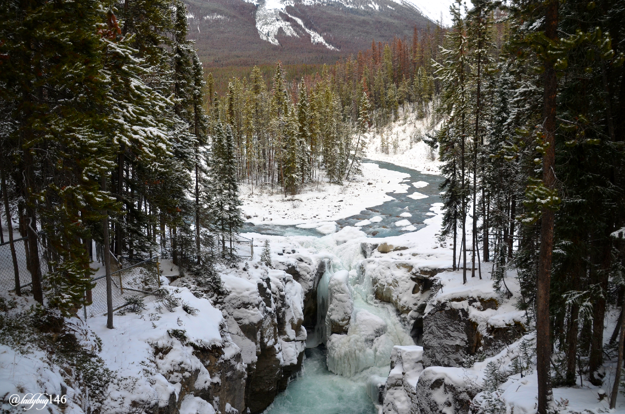 sunwapta falls (2).jpg