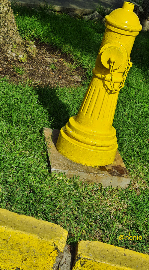 yellow-hydrant-002.jpg