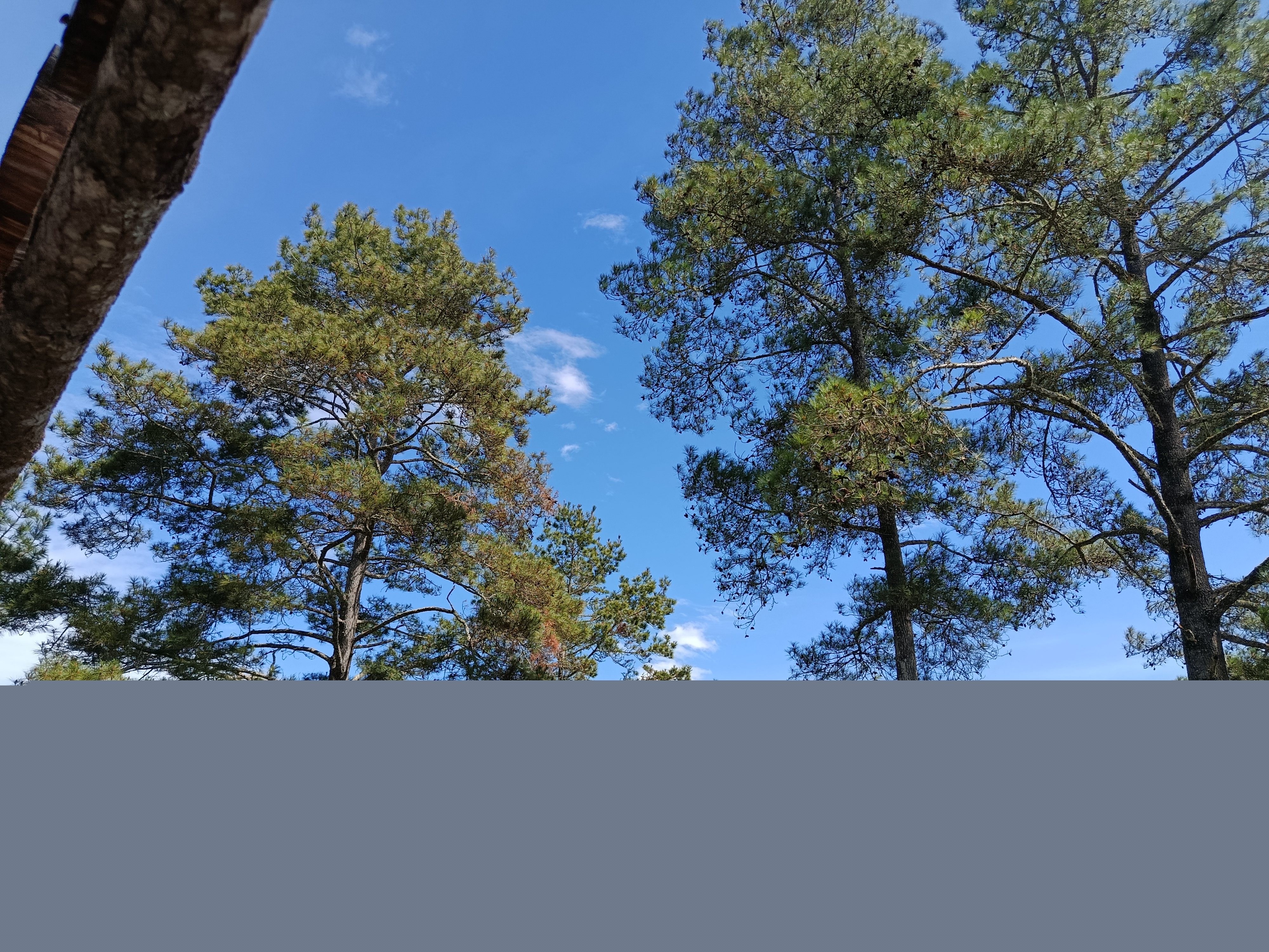 IMG_20250611_103648.jpg