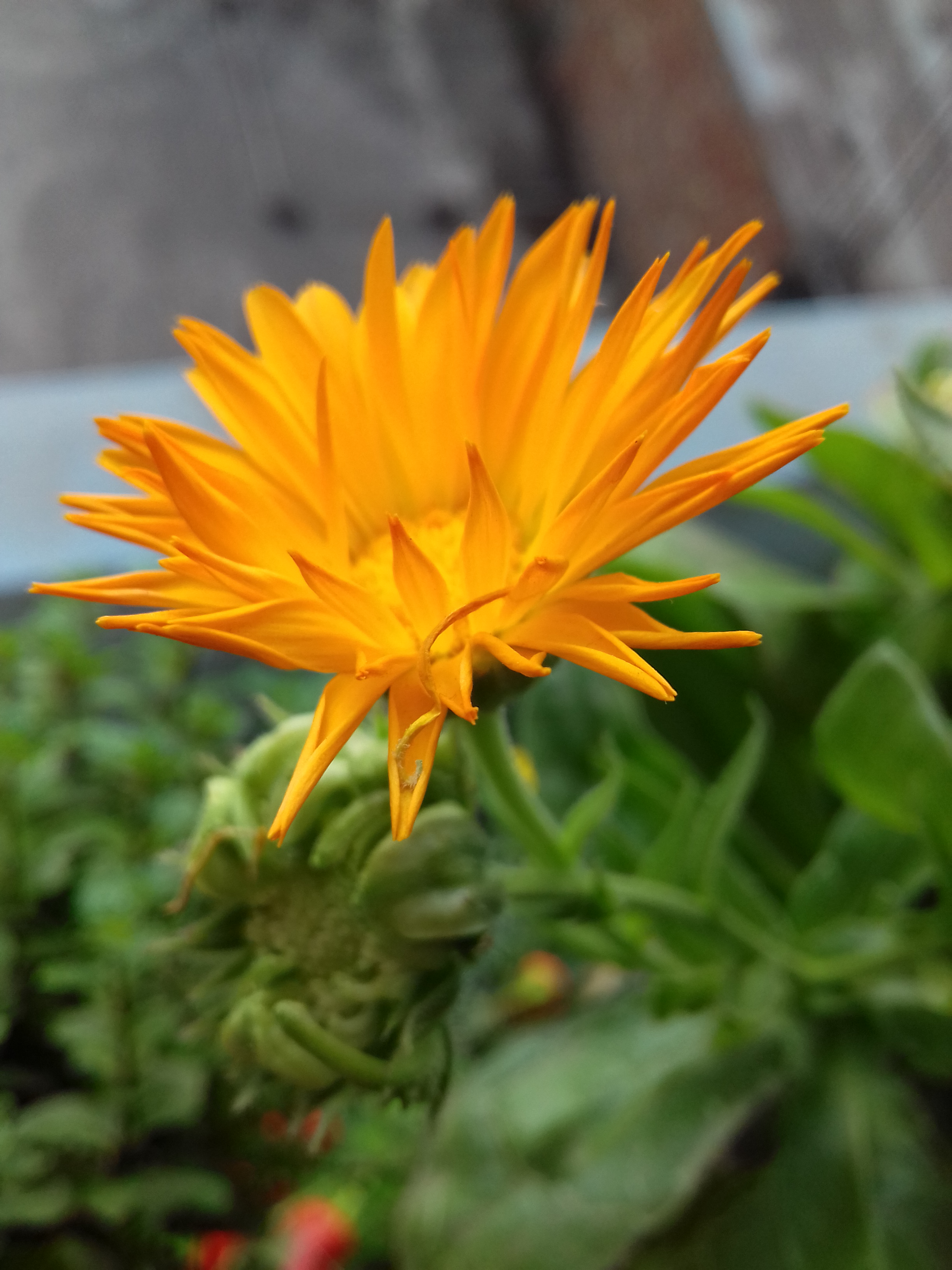 20190213_075838.jpg