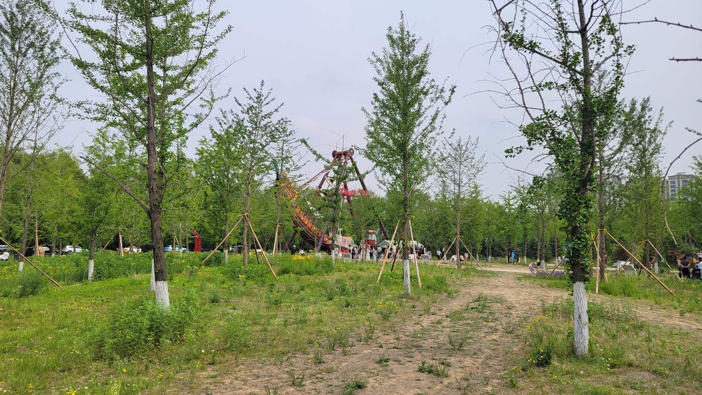 20250601_141006.jpg