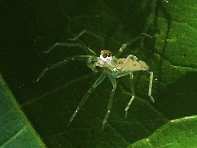 IMG_8891s.png