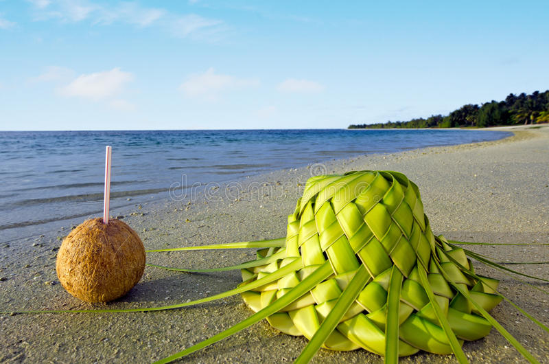 one-coconut-sun-hat-sandy-sea-shore-ccoconuts-knees-out-palm-leaves-tropical-island-35134901.jpg