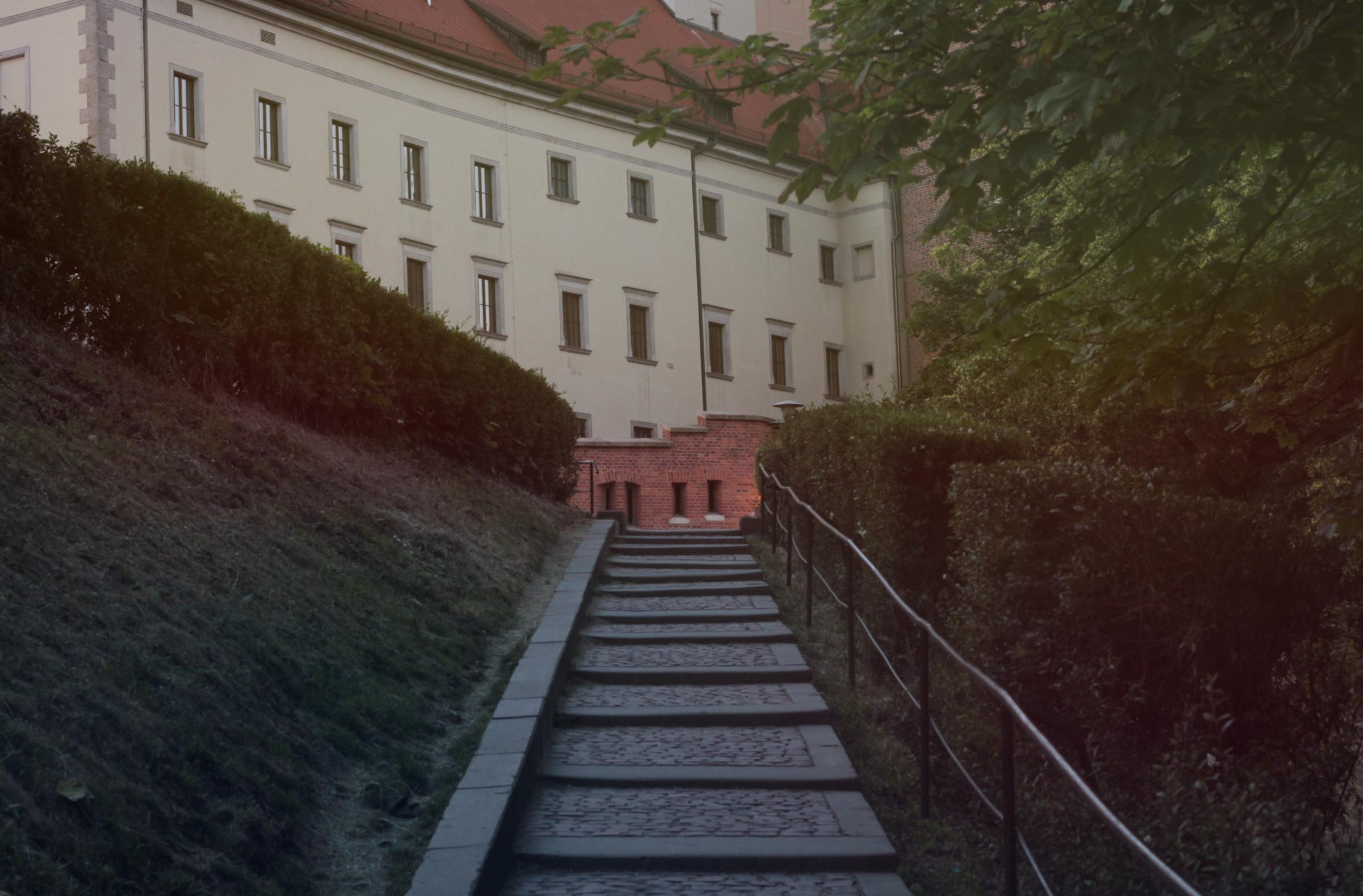 IMG_7415-crop.JPG