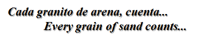 imagen.png