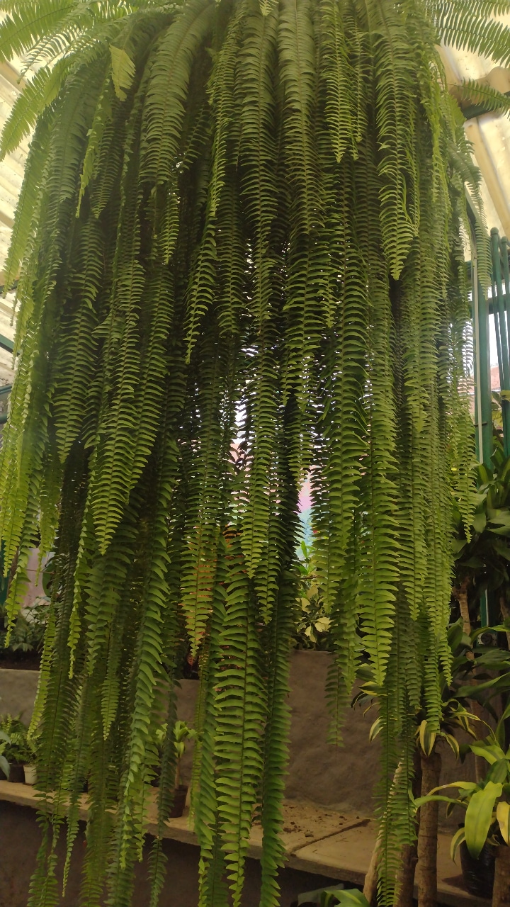 IMG_20221112_163913_862.jpg