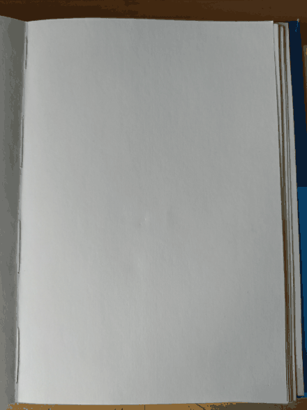 20220228_191228.gif