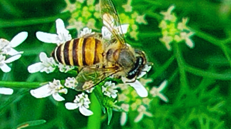 BeautyPlus_20250815220122533_save.jpg