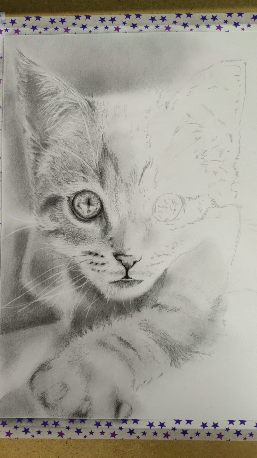 katze02_wip02.jpg