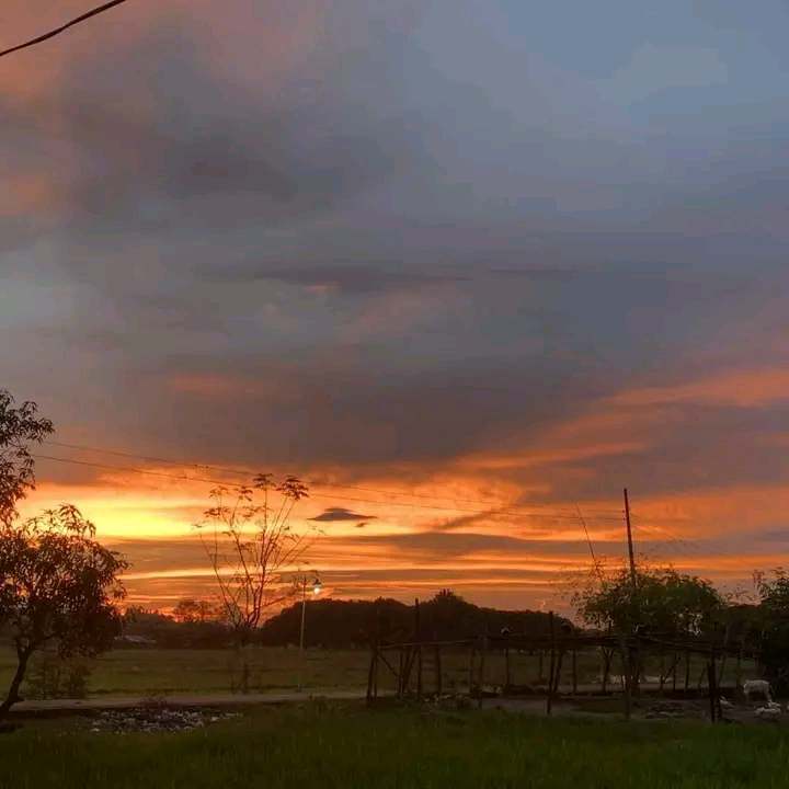 received_1781555562490855.jpeg