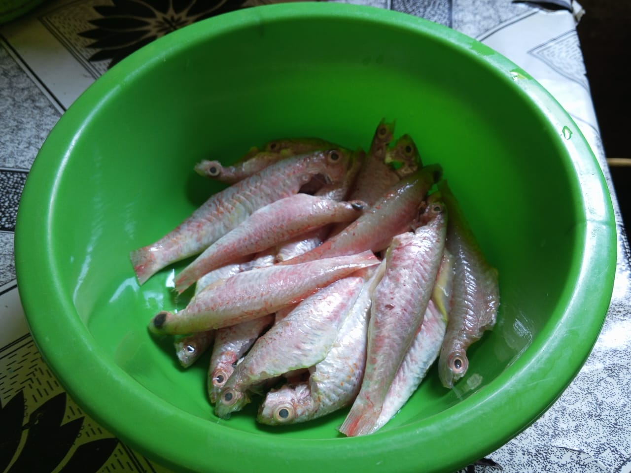 IMG-20250521-WA0000.jpg