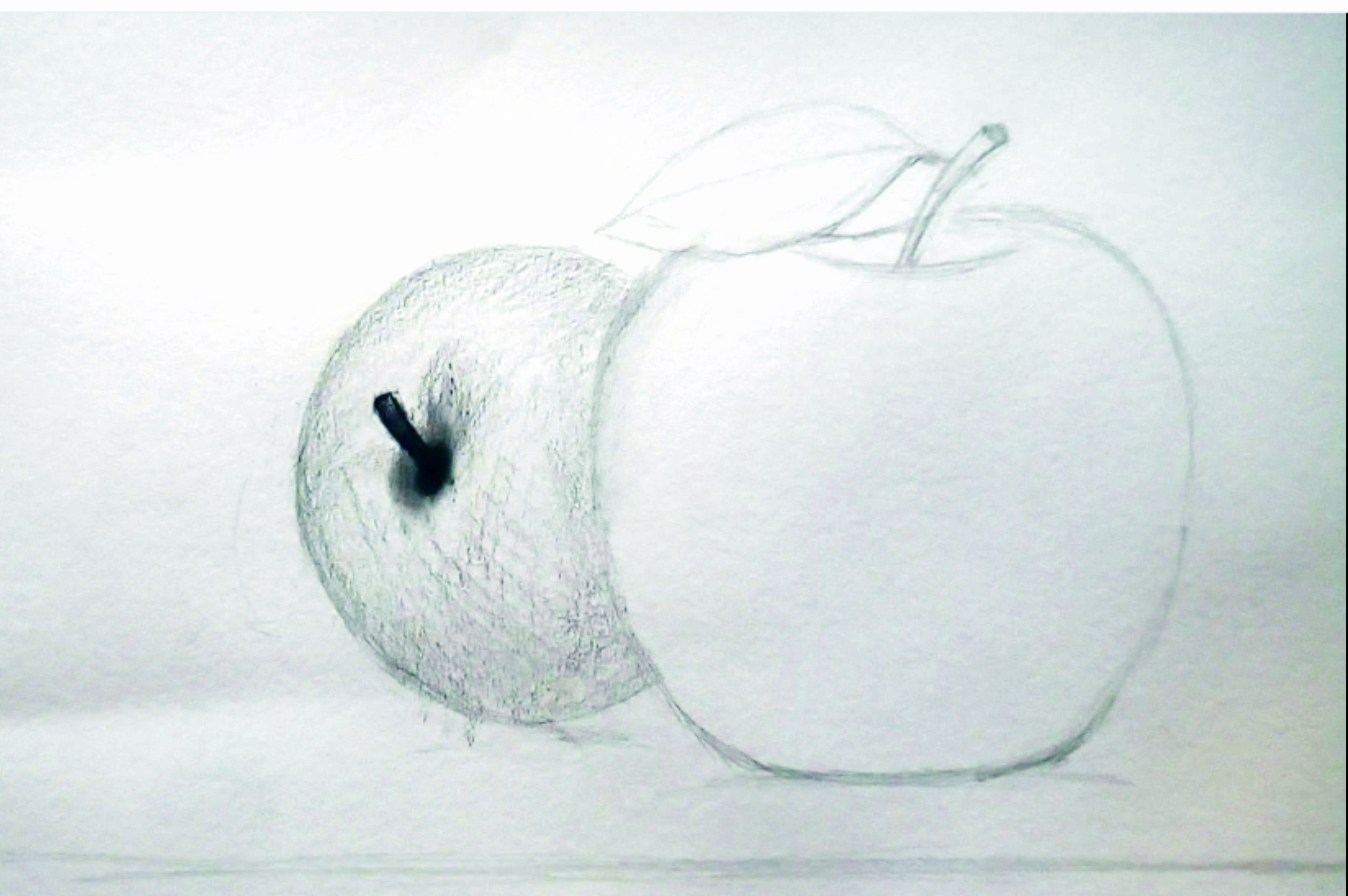 How to Draw Apple with Pencil step by step - YouTube | Drawing apple, Apple  sketch, Easy still life drawing