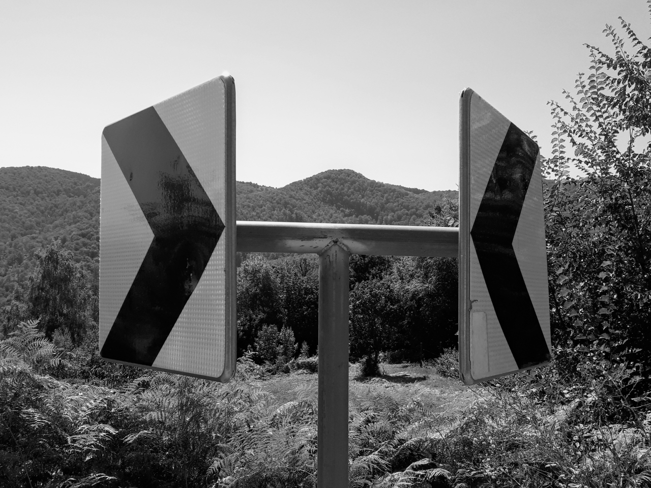 20220803_100905.jpg