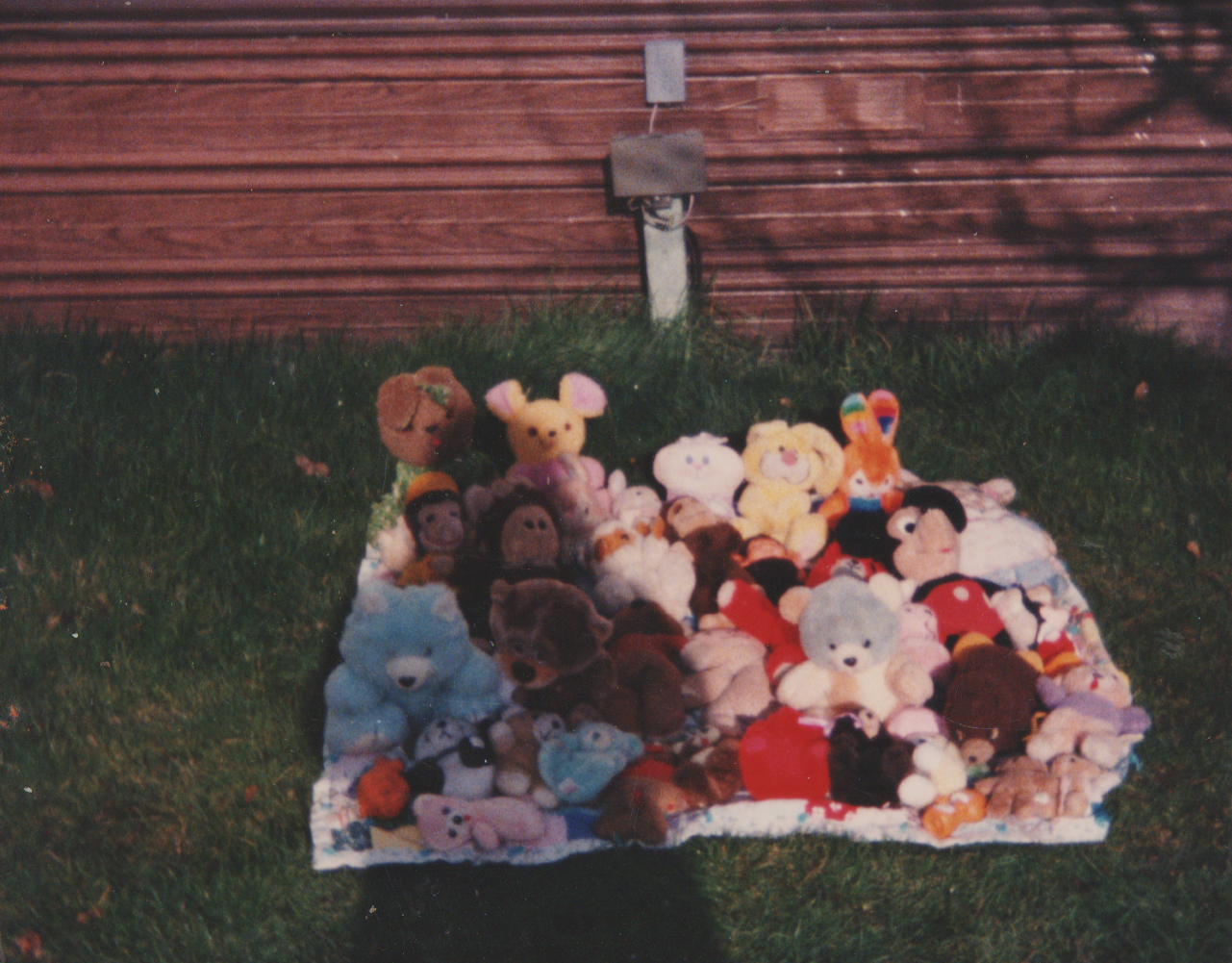 1991-12 - Stuffed animals, 163 Backyard, December.png