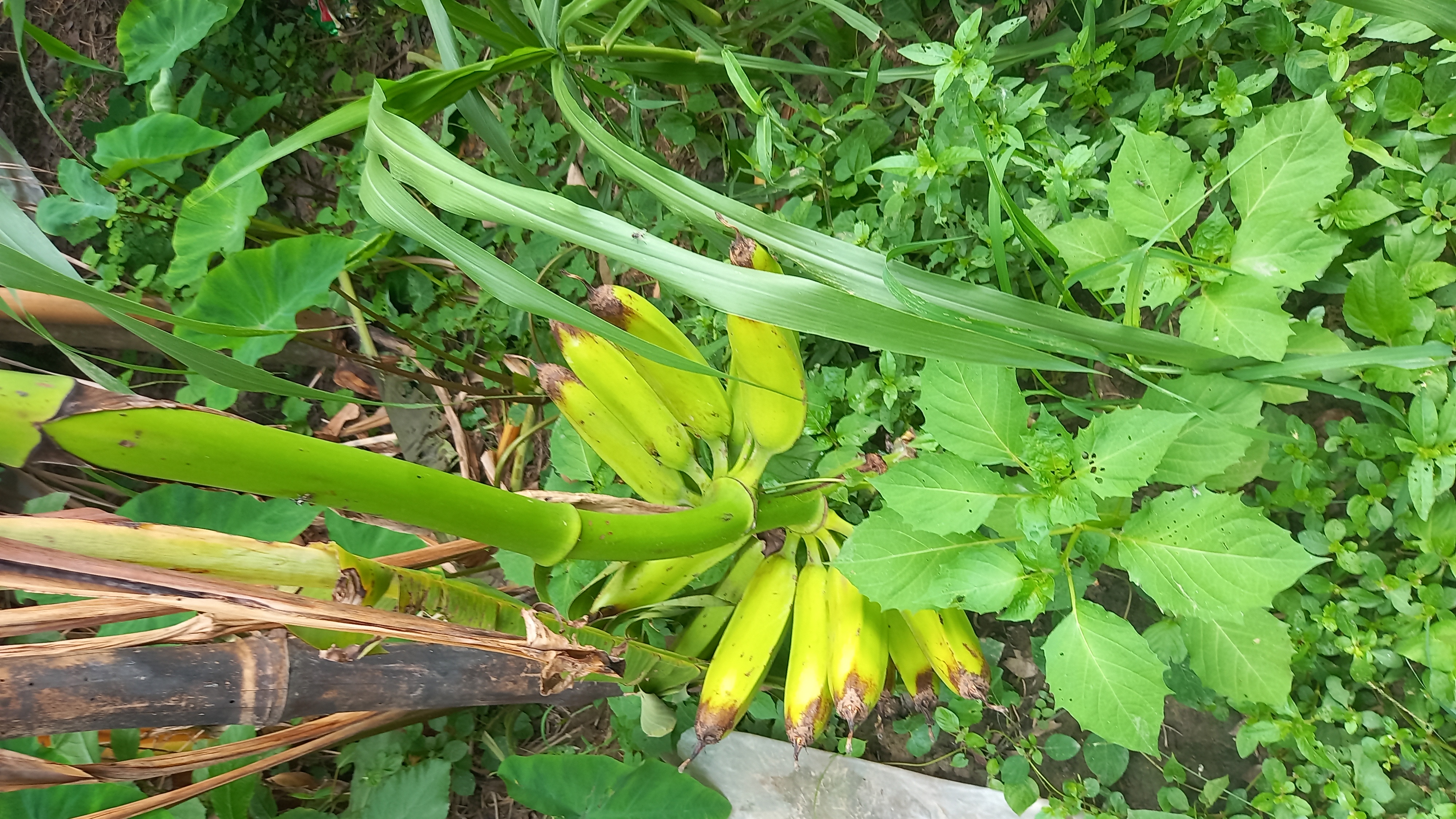 20250520_124136.jpg