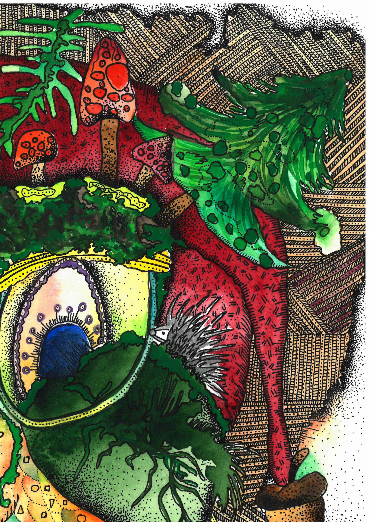 forest3.jpg
