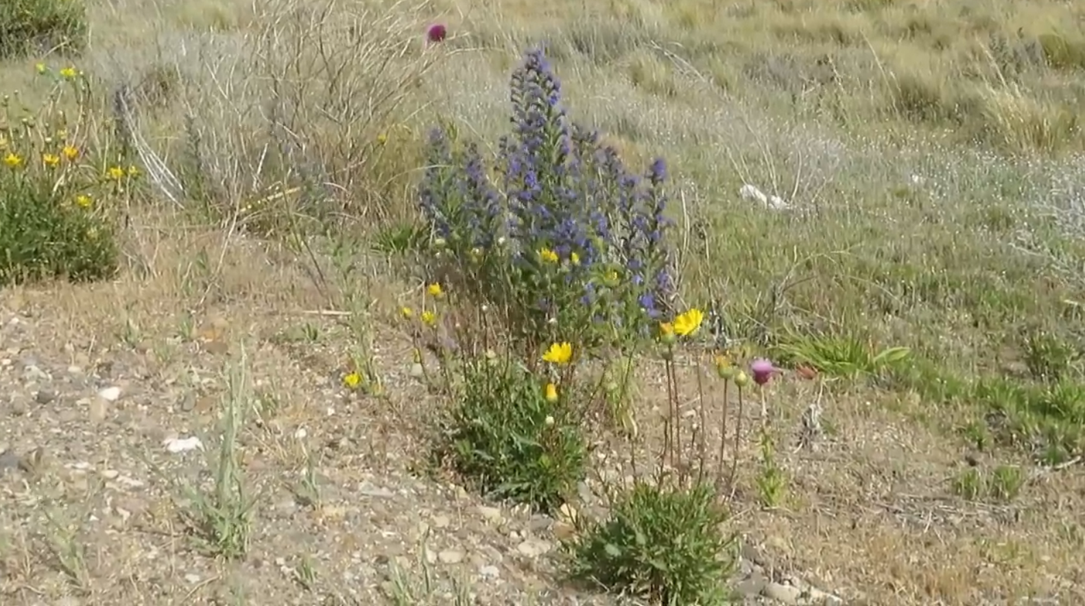 24.-La Ruta-40-11ma-etapa-Patagonia-3.png