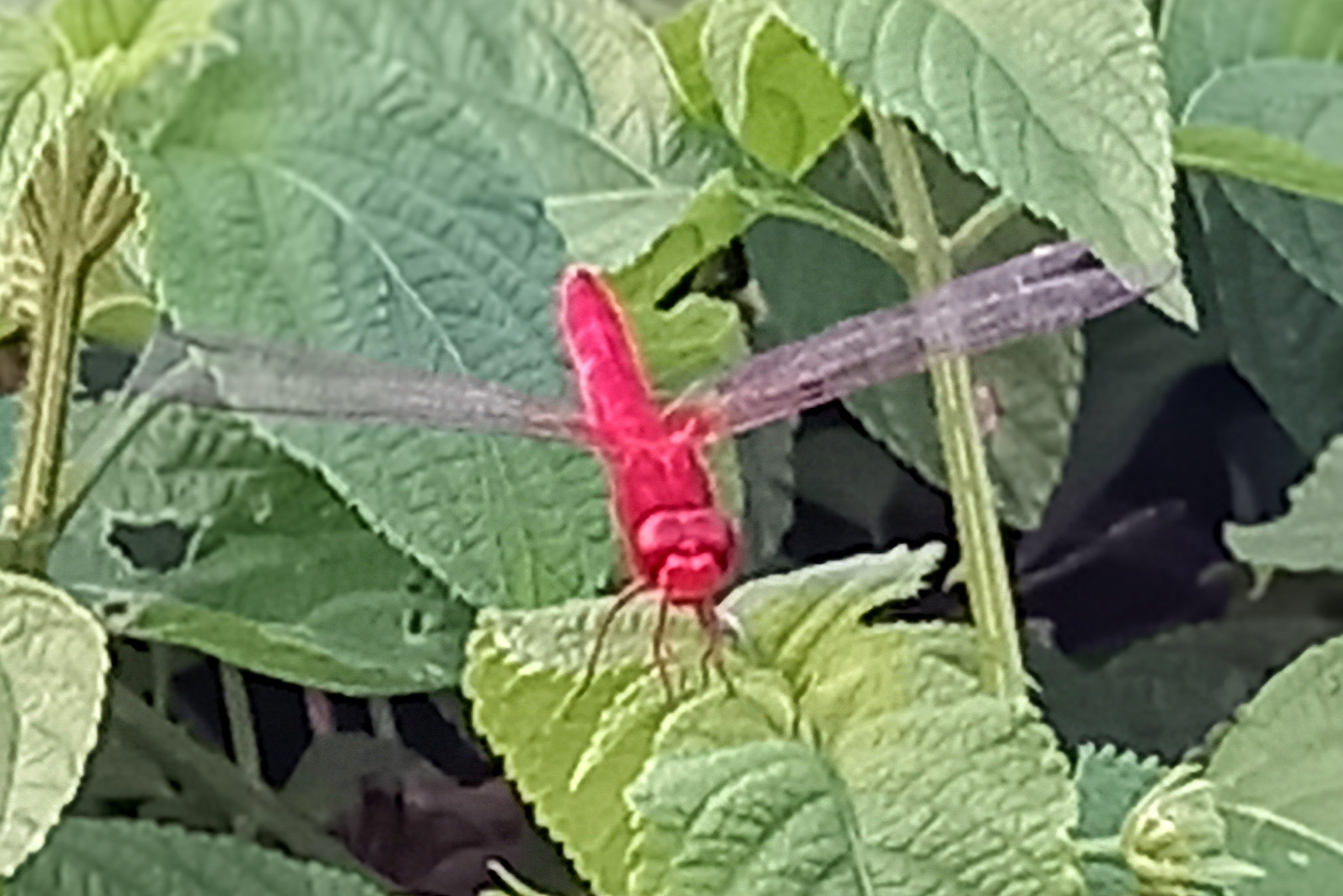 20250806_182700~2.jpg