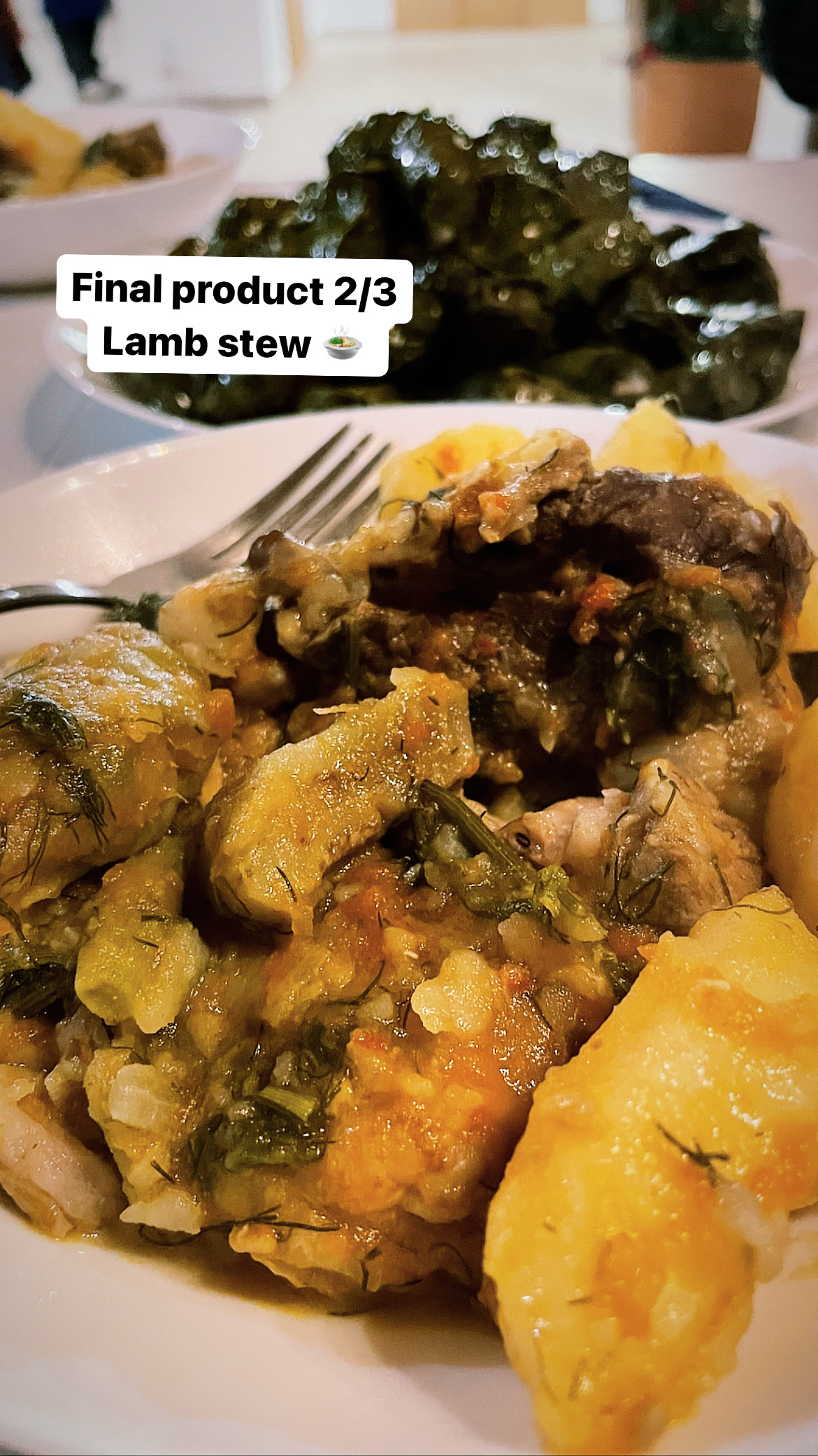 final lamb stew.JPG