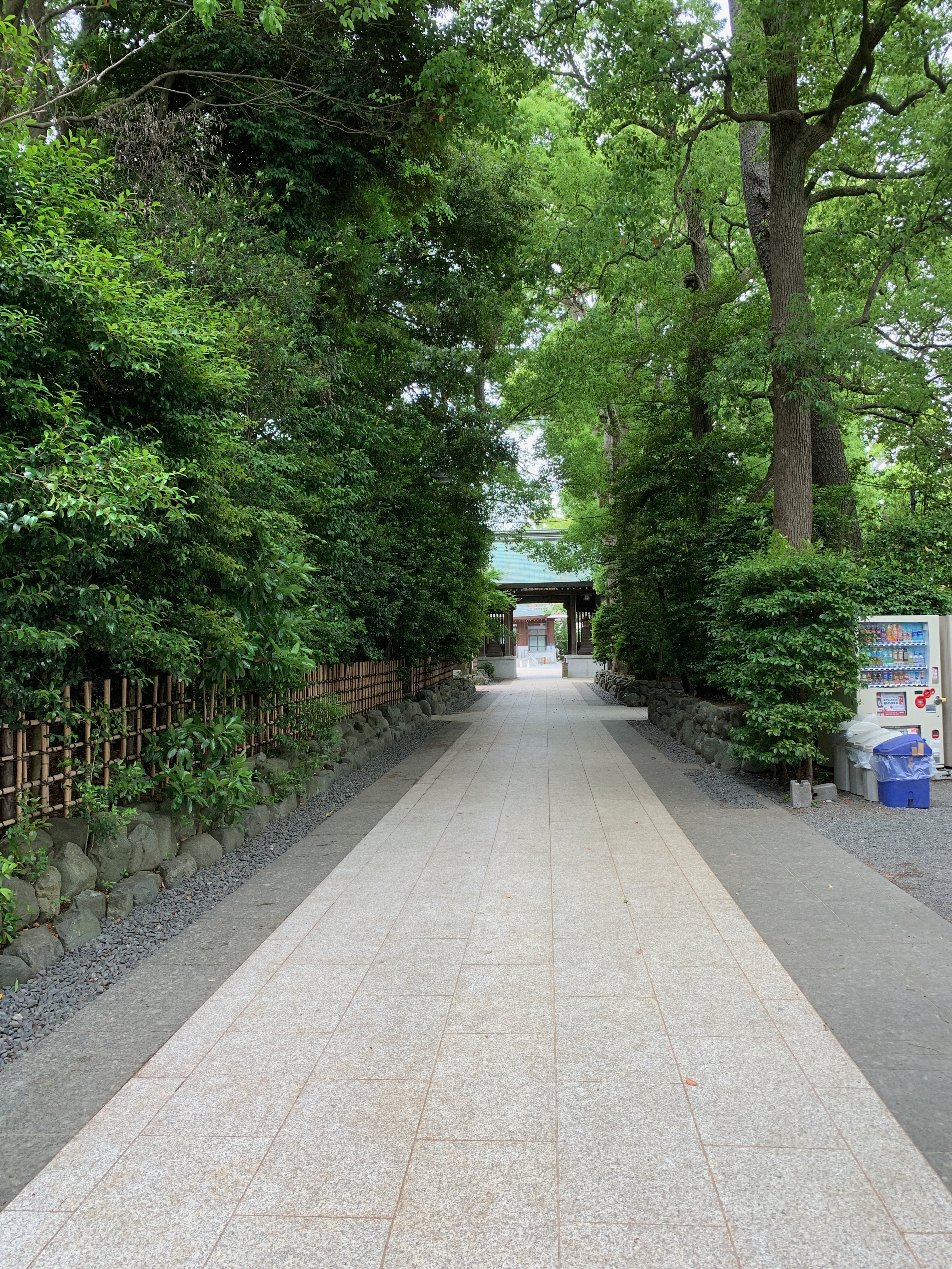 Samukawa path.jpg